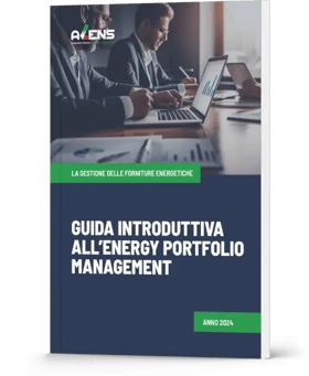 cover-Guida-introduttiva-Energy-Portfolio-Management-1-6001a6fd